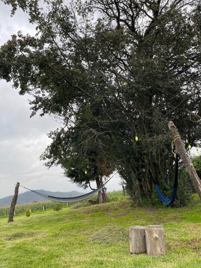 Floresta Casa De Campo Amecameca Ngoại thất bức ảnh